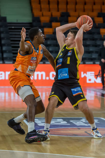 使得国际米 使得国际米